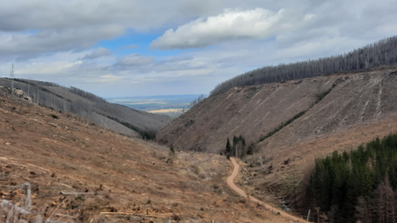Trailpark Harz Bild 11