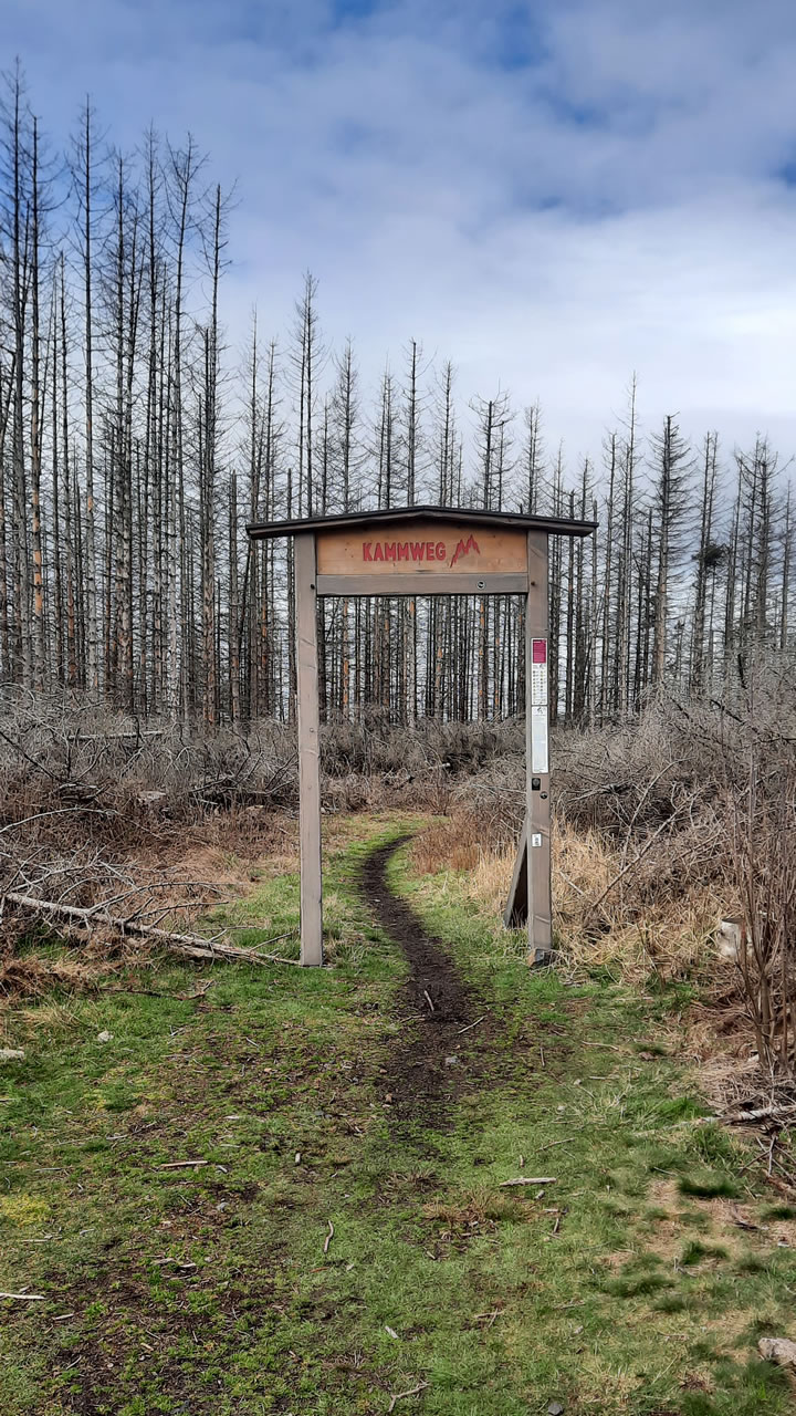 Trailpark Harz Bild 6