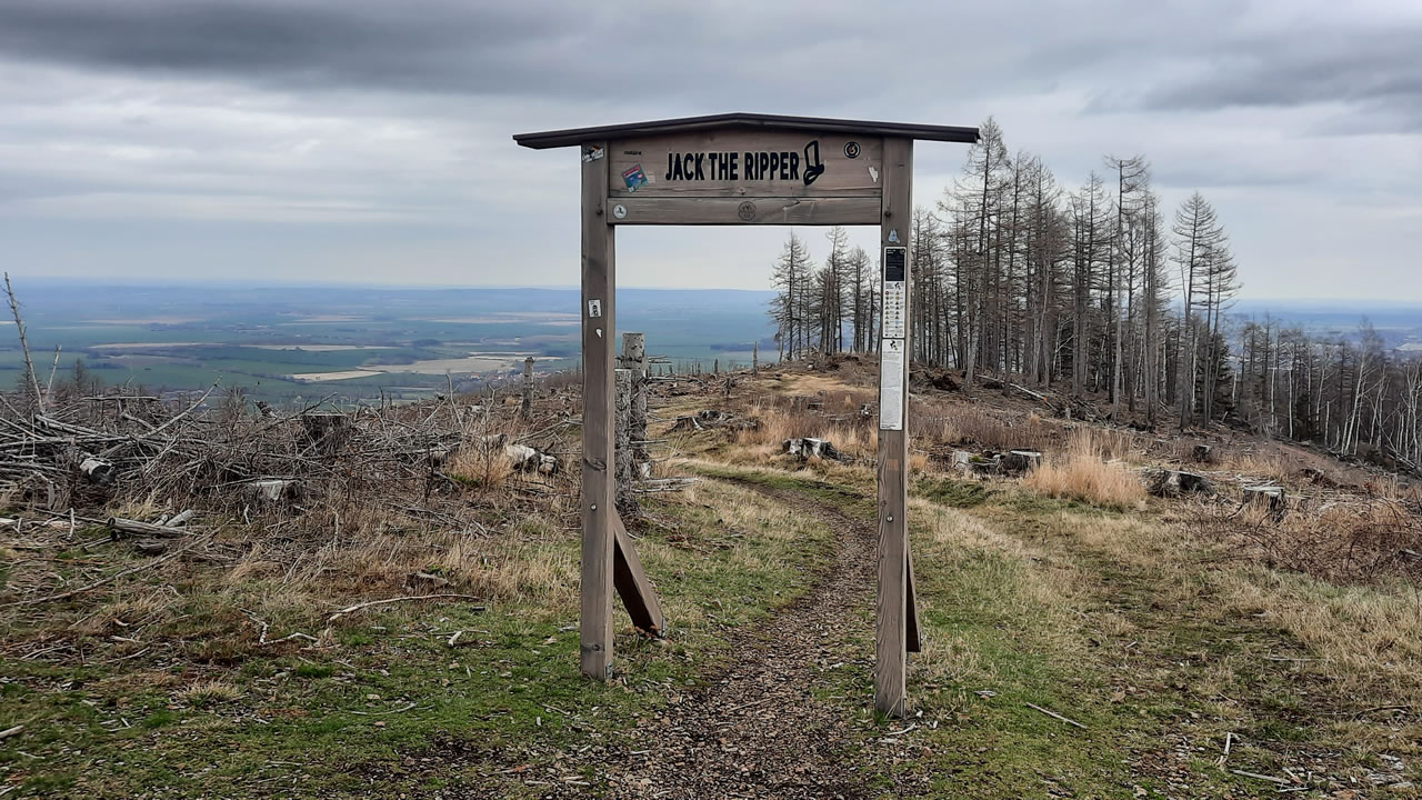 Trailpark Harz Bild 8