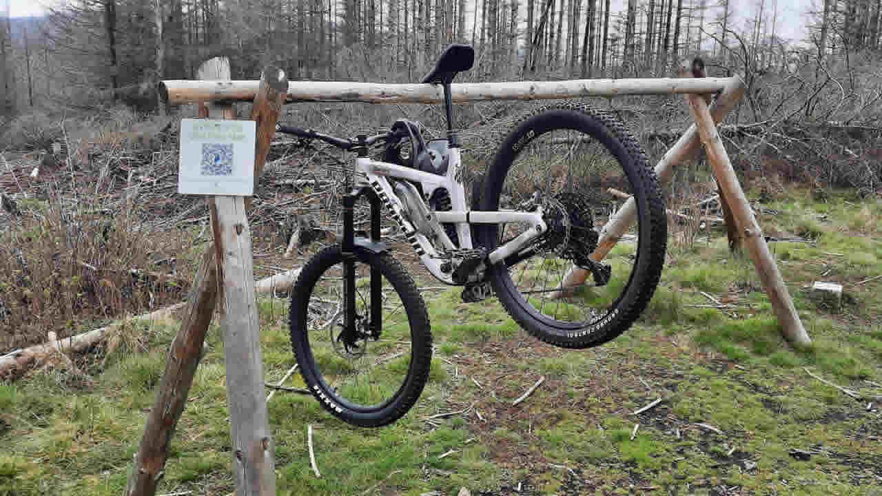 Trailpark Harz Bild 2