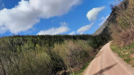 Session Trailpark Harz