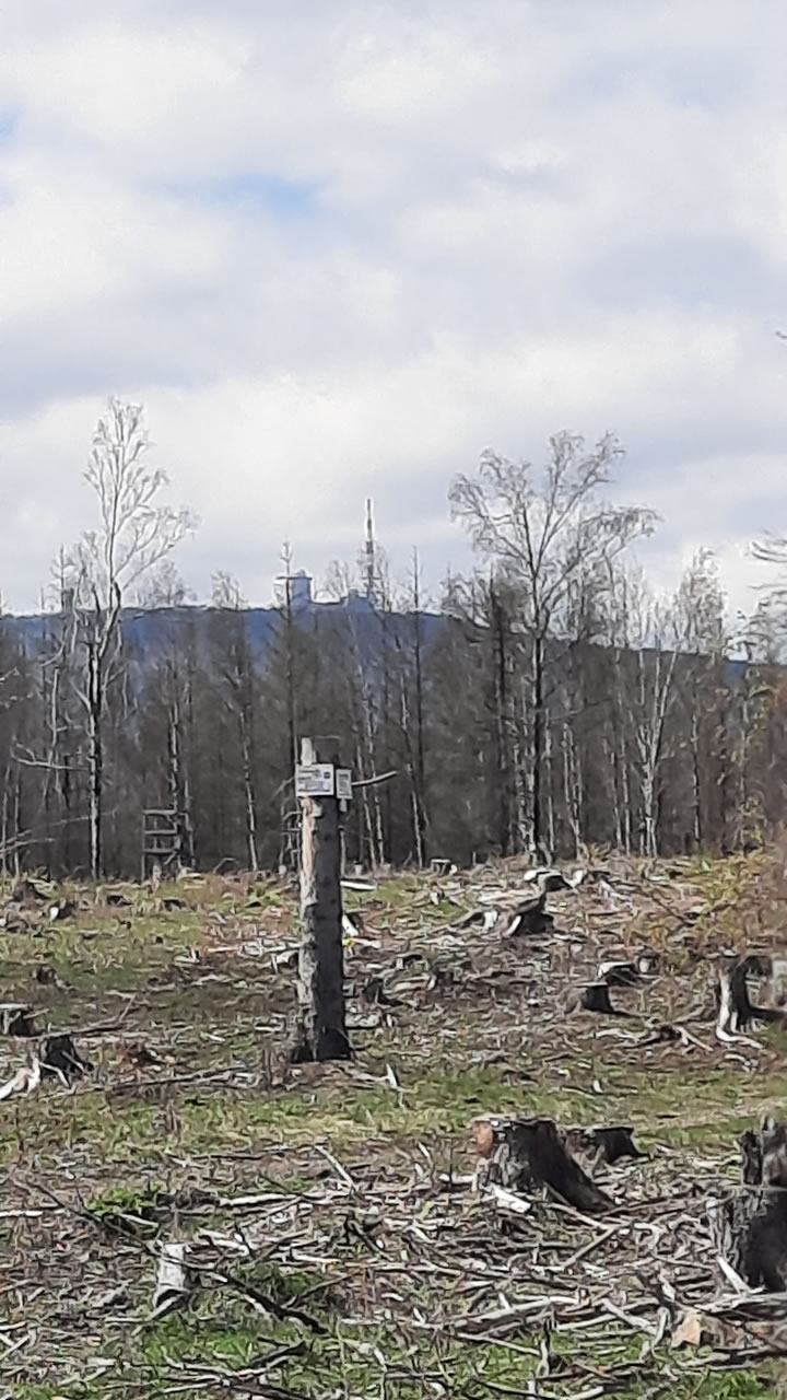 Trailpark Harz Bild 6