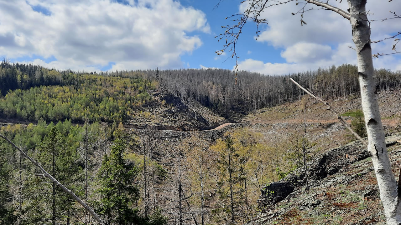 Trailpark Harz Bild 7