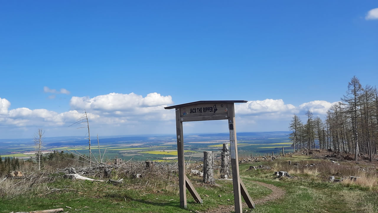 Trailpark Harz Bild 8