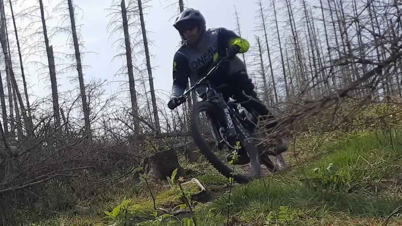 Trailpark Harz Bild 2