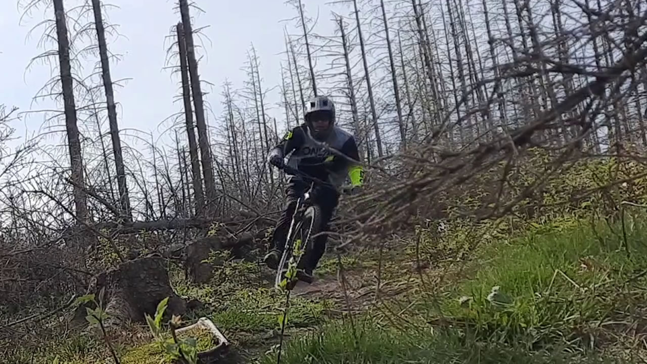 Trailpark Harz Bild 3