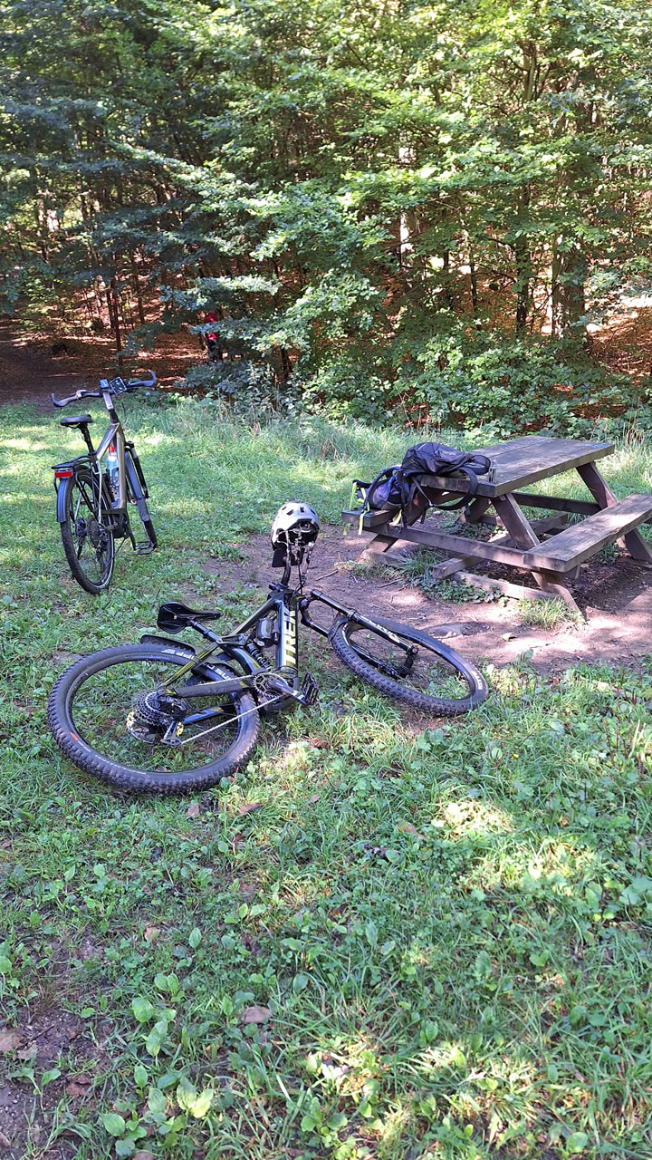 Ilsenburg - Brocken Bild 3