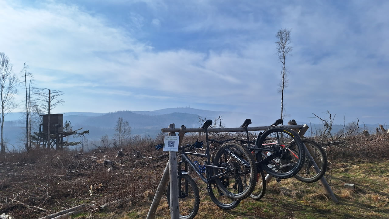 Trailpark Harz Bild 2