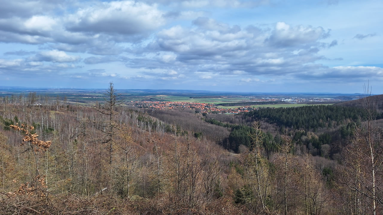 Trailpark Harz Bild 4