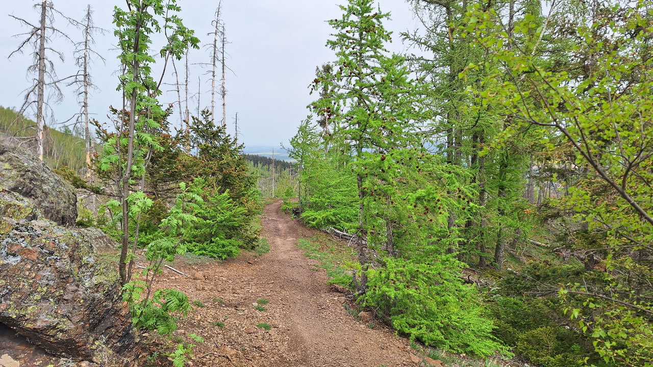 Trailpark Harz Bild 4