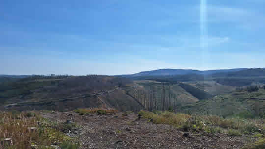 Session Trailpark Harz