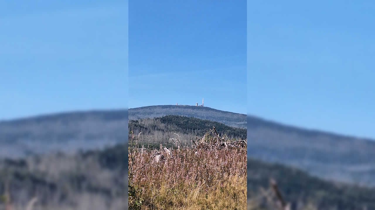 Trailpark Harz Bild 4