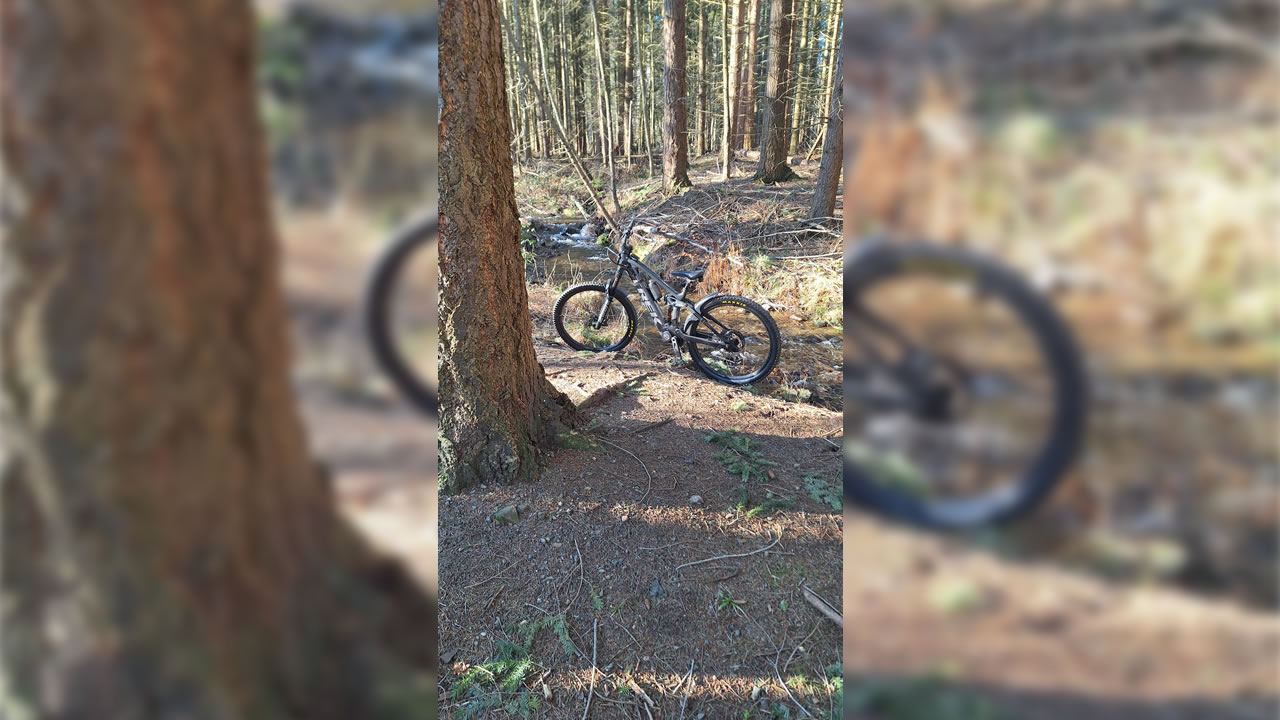 Trailpark Harz Bild 4