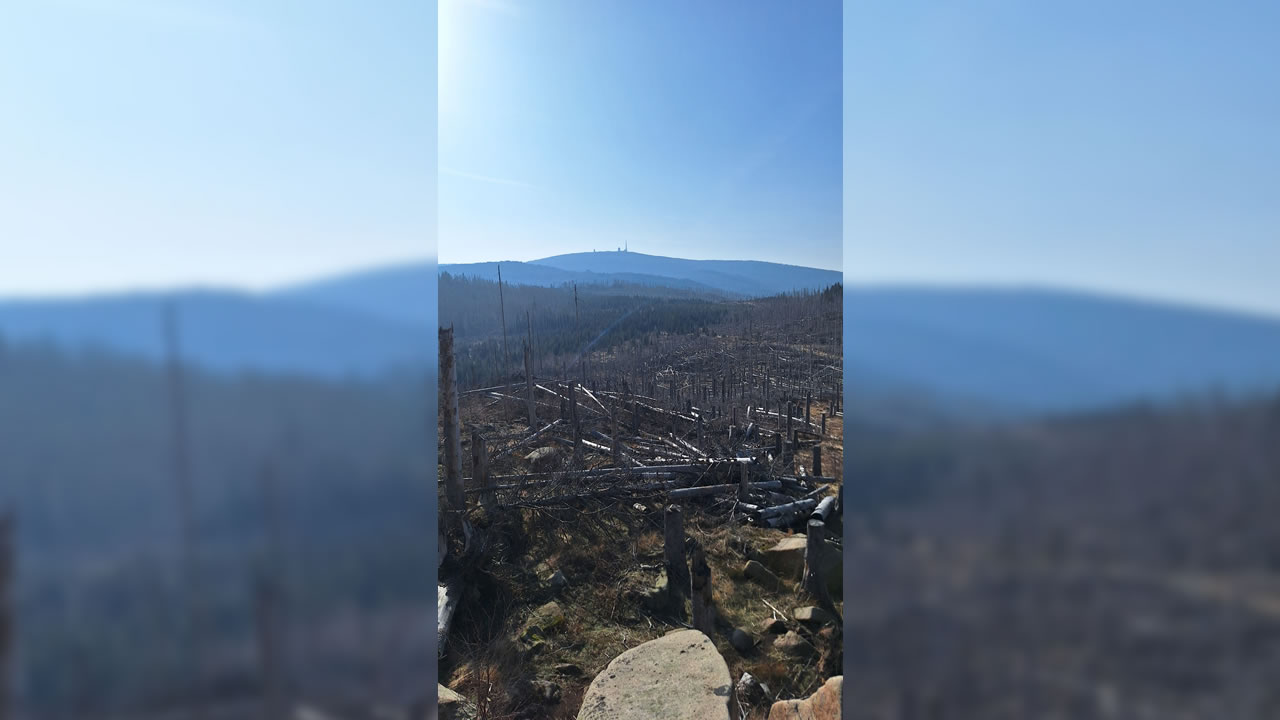 Trailpark Harz Bild 5